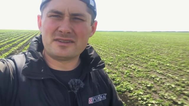 ФИЛОСОФИЯ МЕЖДУРЯДНОЙ КУЛЬТИВАЦИИ смотреть онлайн