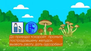 Что делать если съел ядовитый гриб