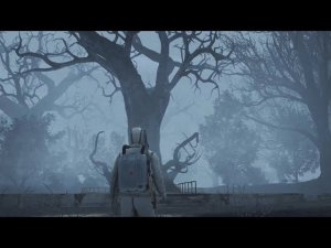 Stalker Online - Чёрный Лес. ОБТ. // Black Forest. OBT