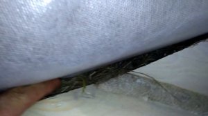 Потолок мансарды в срубе ОТ и ДО