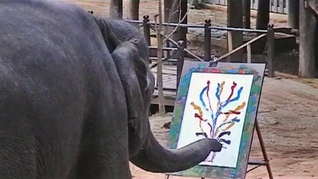 ELEFANTIT nauttivat taiteesta ELEPHANTS enjoy art смотреть онлайн