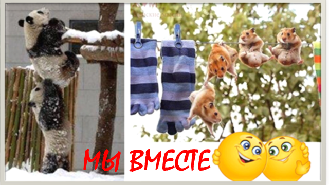 Педагогика физической культуры