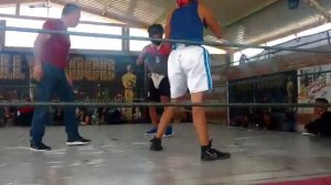 Miguel paredes pelea de hidalgo (POCHOLITO'S Box)