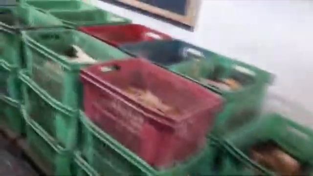 ПАН131 Биогумус производство технологии промышленное разведение выращивание червей
