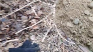 ДОБЫВАЮ ЗОЛОТО ДРАГОЙ