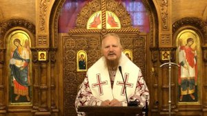 Про Собор в Никее (325 г.) и в Феофании (2022). Архиепископ Иона