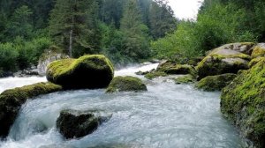 Видео для гармонии. Горный ручей. Звуки природы. Шум воды.