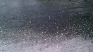 Усадьба Коноваловых - Прогулка на катере (Усть-Кажа, Красногорский район, Алтайский край)