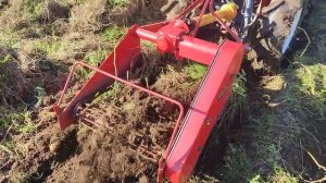 Копка картошки японской копалкой Niplo D65A
