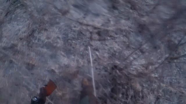 ОХОТА НА ТЯГЕ! ВОТ ЧТО БЫВАЕТ В СИБИРИ! Готовлю блюдо из вальдшнепа смотреть онлайн