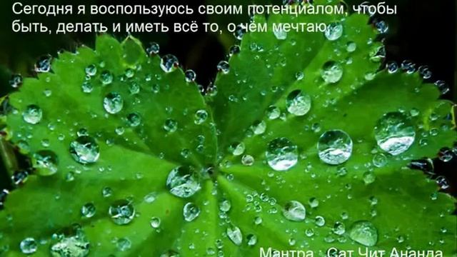 5 ДЕНЬ Медитации на Изобилие Поле всех возможностей смотреть онлайн