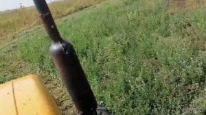 Video_20230727071348400_by_Filmigo.mp4