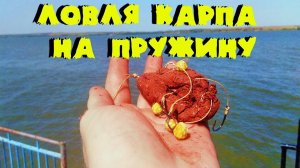 Рыбалка в окрестностях Таганрога. Ловля карпа на пружину.