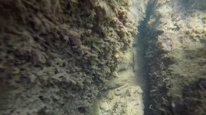 Бухта Инал. Подводный мир Черного моря.