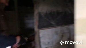 Вес поросят в 2 месяца//Результат вроде неплохой,Как думаете?