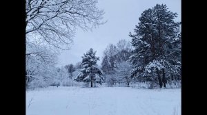 Парк Мира Вологда