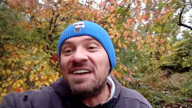 Чего ещё можно хотеть?! С днём республики!!! смотреть онлайн