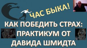 Воля и разум человека неприкосновенны! Код подавления страхов. Шмидт Давид Николаевич