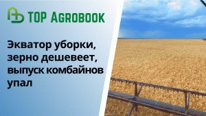 Экватор уборки, зерно дешевеет, выпуск комбайнов упал. TOP Agrobook: обзор аграрных новостей