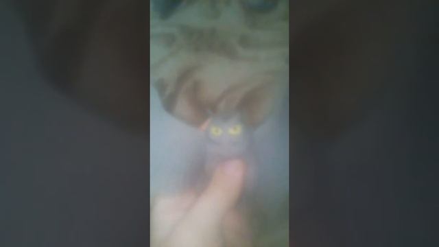 Стараюсь снимать без камеры это моё второе видео смотреть онлайн