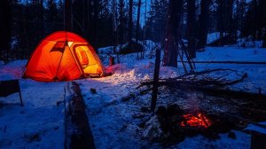 Поход с шашлыками и палаткой в заснеженную Сибирскую тайгу | Костёр из лиственницы, скальник Сибиряк