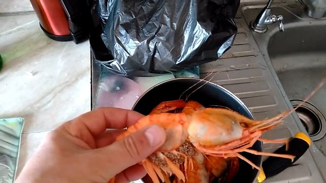 Правильные креветки к пиву смотреть онлайн