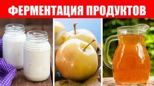 Пробиотики и Ферментация Продуктов. Какая польза?