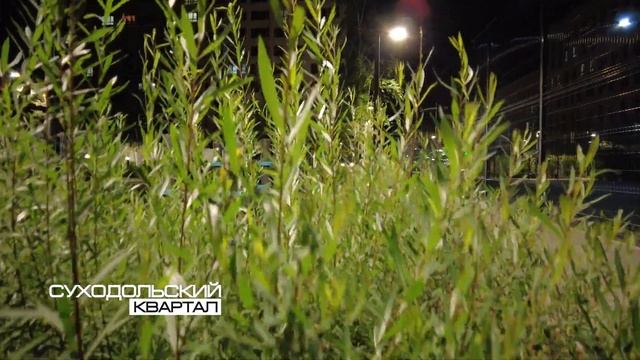 Ночная видеоэкскурсия по ночному ЖК "Суходольский" смотреть онлайн