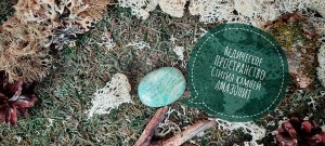 АМАЗОНИТ . МАГИЧЕСКИЕ и ЛЕЧЕБНЫЕ СВОЙСТВА
#магия #эзотерика #гадание #таро #магиякамней #камни