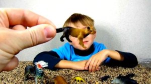 Животные распаковка игрушек Волк, Бегемот, Коала ...