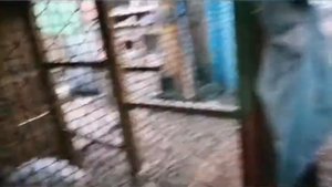 Серия#3. Строим гараж со шпал своими руками.Размеры гаража.Цена на стройматериал космос.