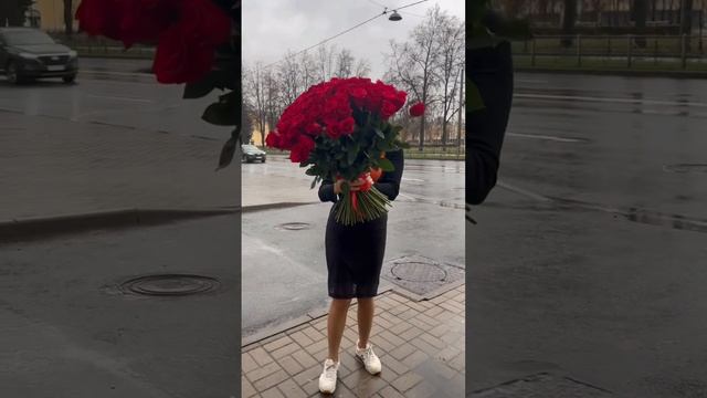 101 роза Эквадор 60 см Эквадор смотреть онлайн