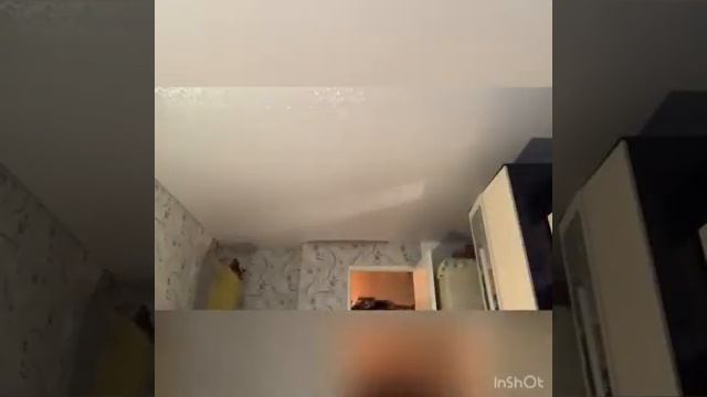 НАтяжные потолки | Квартира 1 смотреть онлайн