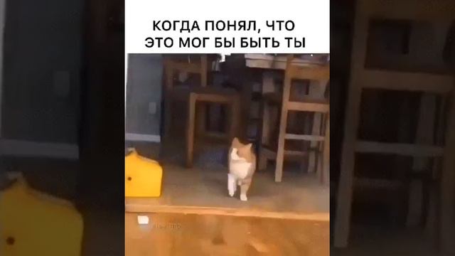 Когда понимаешь что это мог бы быть Ты