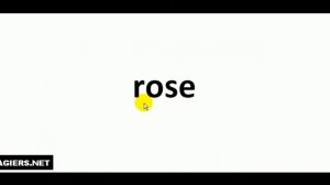 Как произносится  # rose