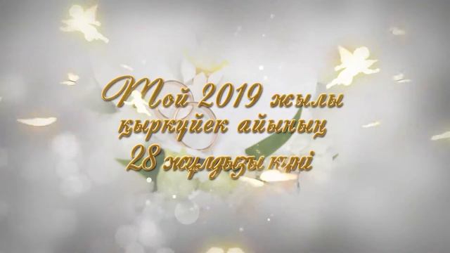 video WhatsApp Султан Палас смотреть онлайн