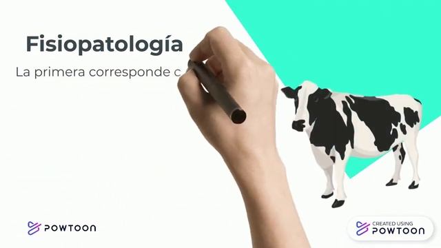 FASCIOLA HEPATICA смотреть онлайн