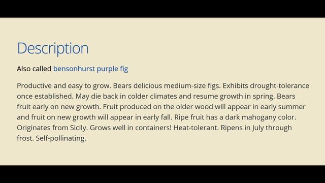 Инжир 5 зоны морозостойкости смотреть онлайн