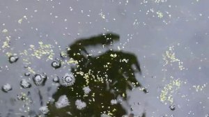 Поход на болото - Сапоги-тест