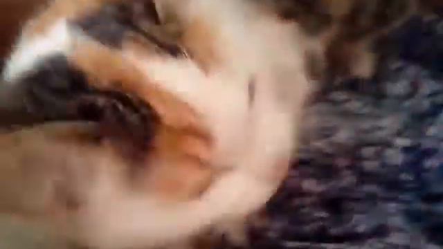 А ну ка давай ка смотреть онлайн