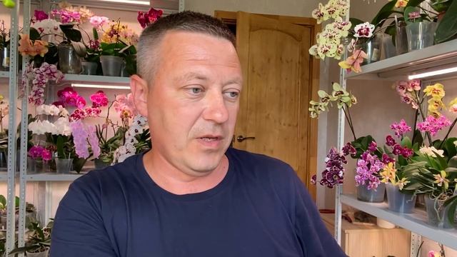 ОРХИДЕИ СГНИЛИ Б после покупки в магазинах ЕСЛИ бы НЕ СДЕЛАЛИ ЭТО смотреть онлайн