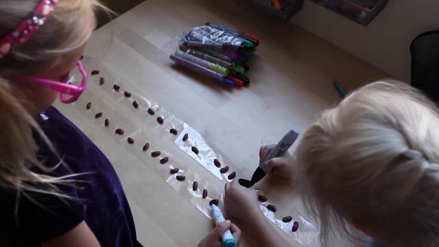 Математика для малышей с бобами. смотреть онлайн