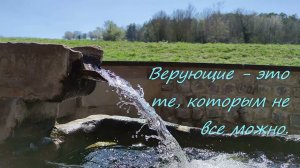 Илья Гриц. Цитаты из лекций (подборка Жанны Петрукович)