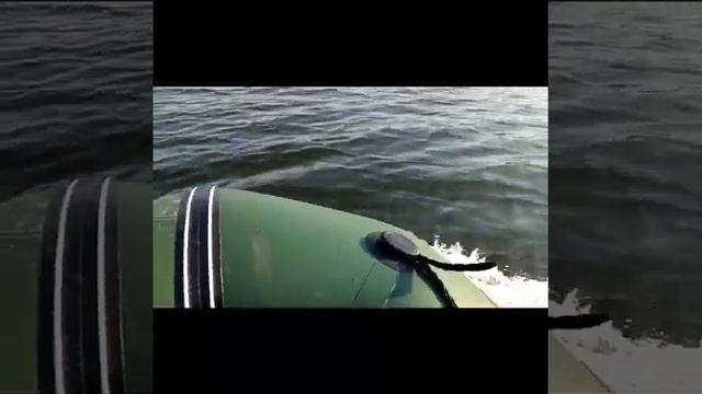 ЛОДЧНЫЙ МОТОР HIDEA 6 Л.С., КРАТКИЙ ОБЗОР, ИСПЫТАНИЕ НА ВОДЕ, ЛЕБЕДИ НА ПРУДУ смотреть онлайн