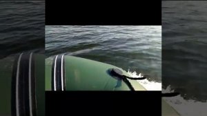 ЛОДЧНЫЙ МОТОР HIDEA 6 Л.С., КРАТКИЙ ОБЗОР, ИСПЫТАНИЕ НА ВОДЕ, ЛЕБЕДИ НА ПРУДУ