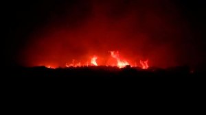 В Европе и Северной Америке набирают силу лесные пожары