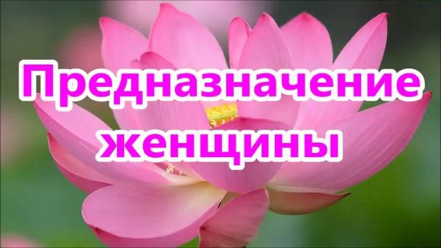 Предназначение женщины