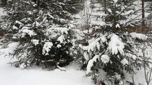 Шумихская видовка. Чертов мост и  Красноярская ГЭС