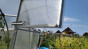 Муравьи в теплице. Сода+ горчица отличное средство для мытья посуды.