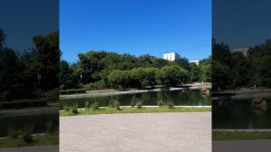 Парк Дубки Тимирязевский лето 20